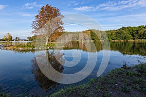 Scenic view of a lake with reflection of trees in water