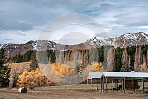 Scenic view of Lake Tekapo east bank.