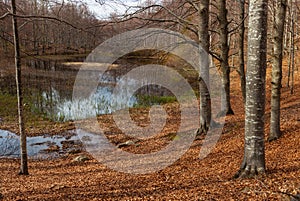 Scenic view of lake by trees against sky, Lago Scuro, Ventasso photo