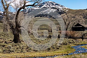 A scenic view in the Lamar Valley in Yellowstone National Park.