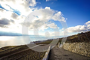 Scenic view of Lavaux, Switzerland