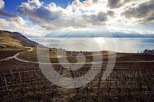 Scenic view of Lavaux, Switzerland