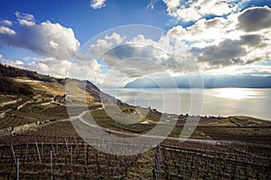 Scenic view of Lavaux, Switzerland