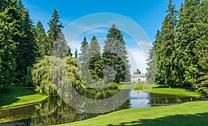 Scenic view of lawn and trees with reflection in the lagoon in botanical garden..