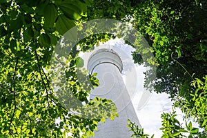 Scenic view of a lighthouse situated among a cluster of tall trees in Cairu, Brazil photo