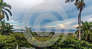 Scenic view lowers plants and trees and the ocean.