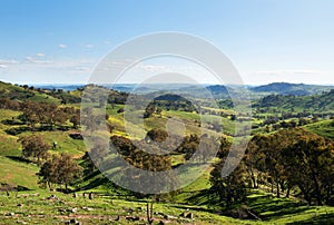 Scenic View of lush farmland, near Cowra, in New South Wales, Australia