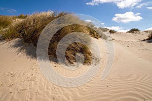 Scenic view of lush green grass and sandy dunes against a bright blue sky, Denmark