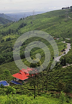 scenic view of lush green himalayan foothills, zig zag mountain road and tea plantation from tingling view point