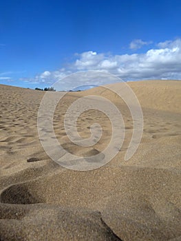 Scenic View Of Maspalomas Dunes