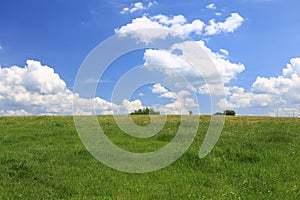 Scenic view of the meadow / Landscape