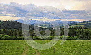 Scenic view of the meadow / Landscape