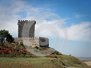 Scenic view of the medieval castle of Tiedra in Spain photo