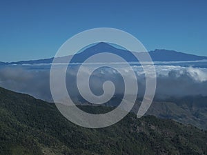 Scenic view from the Mirador del Bailadero on forest and hills of Garajonay National Park and island Tenerife and