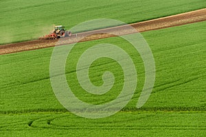 Scenico da agricoltura quale aratura verde. agricoltura coltivazione grano un creando verde 