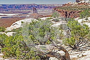 Scenic view of monuments in Canyon Lands National Park.