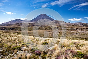 Scenic view on Mount Doom Mount Ngauruhoe over tussock grass desolation land in Tongariro Nation Park