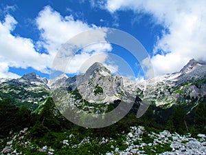 Scenic view of mountain Miseljski vrh above Velo polje in Julian alps and photo