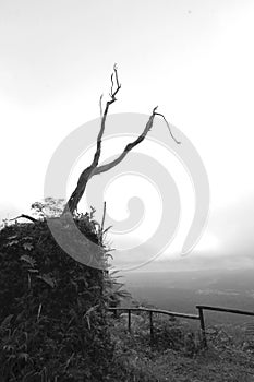 Scenic view of mountain range in black and white
