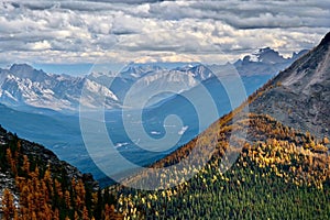 Scenic view of mountains and yellow autumn larch trees in Lake Louise area in Canadian Rockies.