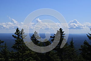 Scenic view from a mountaintop covered in forests looking at the horizon