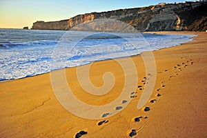 Scenic view of Nazare sand beach in Portugal