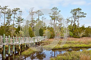 Scenic View near Emerald Isle, North Carolina