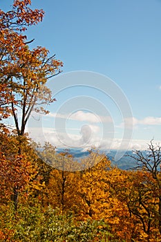 Scenic view of North Carolina fall foliage