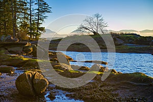 Scenic view of the ocean overlooking the bay of Nanaimo in Vancouver Island, British Columbia. photo