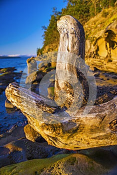 Scenic view of the ocean overlooking the bay of Nanaimo in Vancouver Island, British Columbia.