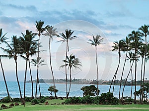 Scenic View of the Ocean Waters With Tropical Palm Trees Swaying in the Blue Sky!