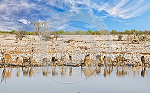 Scenic View of Okaukeujo Waterhole in Etosha National Park, with a large her of Greater Kudu Drinking