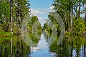 Scenic View of Okefenokee National Wildlife Park in Georgia