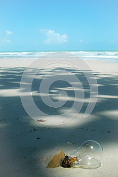 Scenic view of an old busted bulb left along a sandy beach with copy space