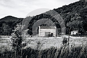 Scenic view of old wooden cabins on a grassy hill in grayscale