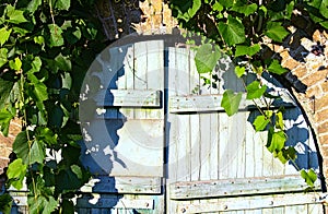 Scenic view of old wooden gate into the cellar covered by grapevine. Grapevine leaves border. Natural frame. Stone wall.