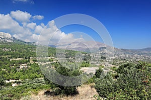 Olive groves and Ataviros mountain, Rhodes island - Greece photo