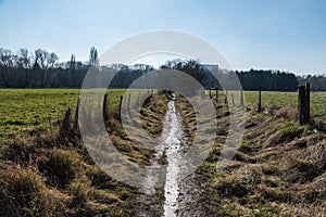 Scenic view over mud walking path in Brussels, Molenbeek