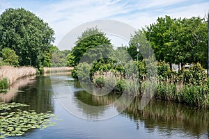 Scenic view over nature relfections in the River Durme around Lokeren, Belgium