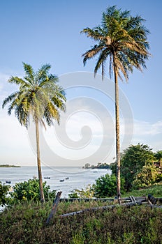 Scenic view over palm trees on tropical island Bubaque, part of the Bijagos Archipelago, Guinea Bissau, Africa photo