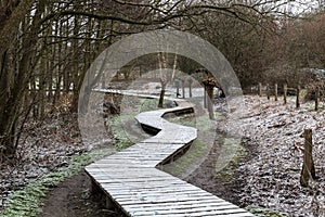 Scenic view over a wooden path through the Brussels wetlands, covered with snow
