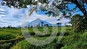 Pacet mountains in East Java