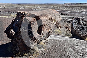 Scenic View of the Painted Desert and Petrified Forest