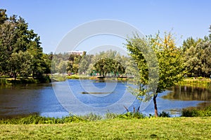 Scenic view of the park in the center of the big city in the summer. With a lagoon in the middle and green trees.