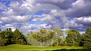 Scenic view of the park with green trees and grass field in city and a cloudy blue sky background