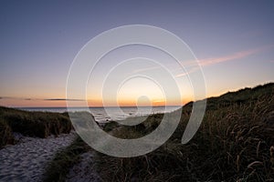 Scenic view of a path through a sandy beach covered with greenery at sunset