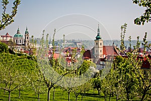 Scenic View from Petrin Park towards Saint Nikolas Cathedral, through fresh spring blooming trees, Prague