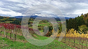 Scenic view of a picturesque vineyard in the hills near Sexau, Germany