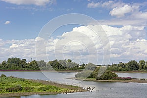 Scenic view on the polder with the Oude Waal and the Groenlanden in the Ooijpolder near Nijmegen in the Nethe