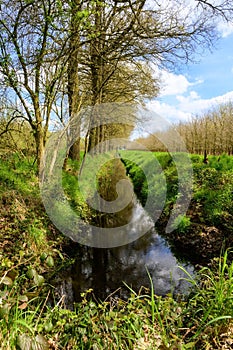 Scenic view of a pond in a green landscape in Wortel, Hoogstraten, Belgium photo